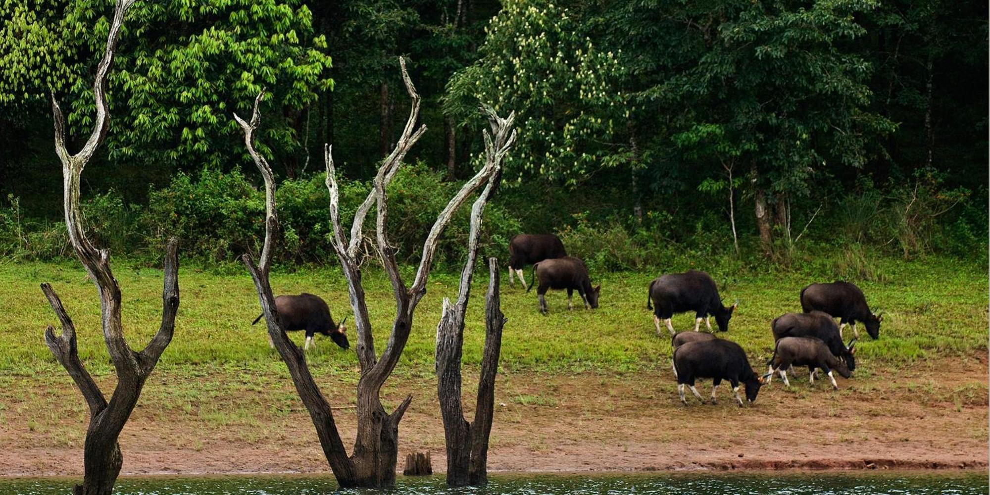 Cardamom County By Xandari Hotel Thekkady Exterior photo
