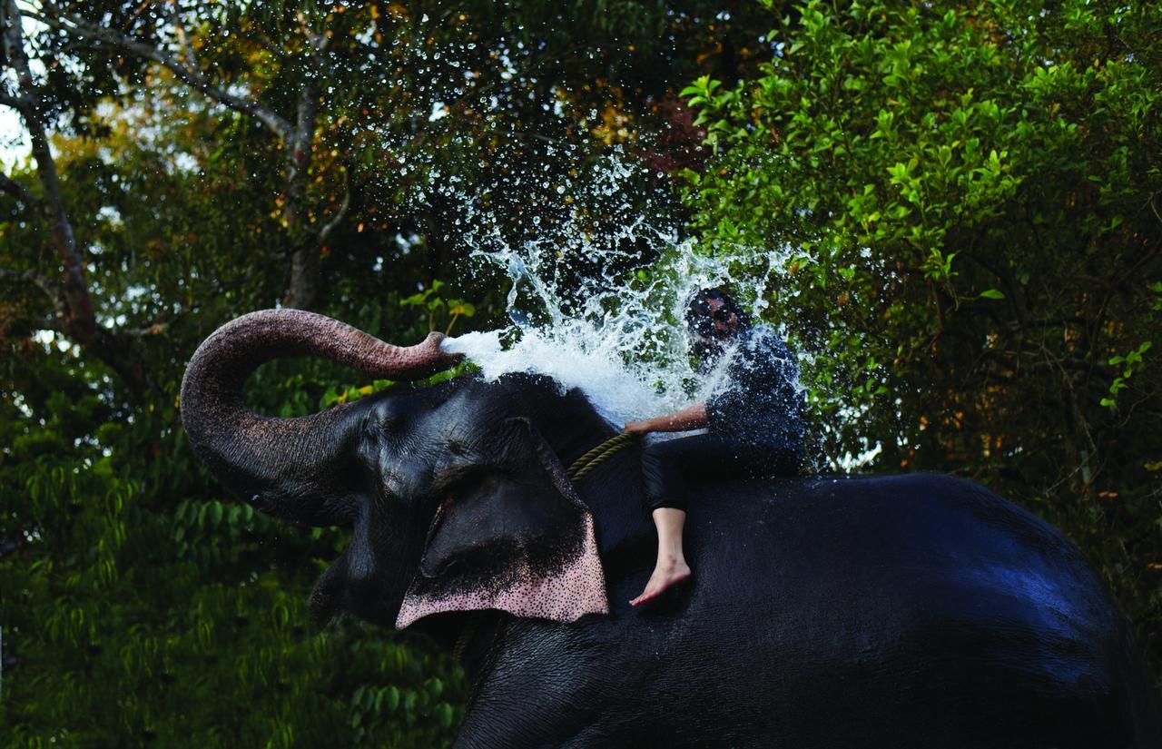 Cardamom County By Xandari Hotel Thekkady Exterior photo
